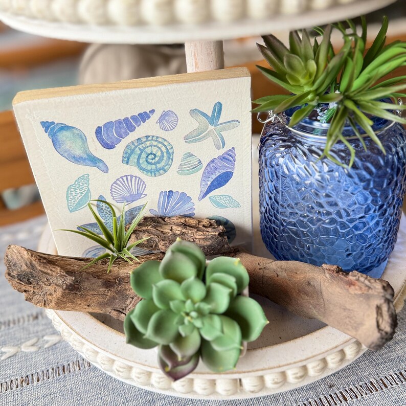 Shell Table Top Decor Coastal Decor Set Starfish Shell Succulent Accents Beach House ...
