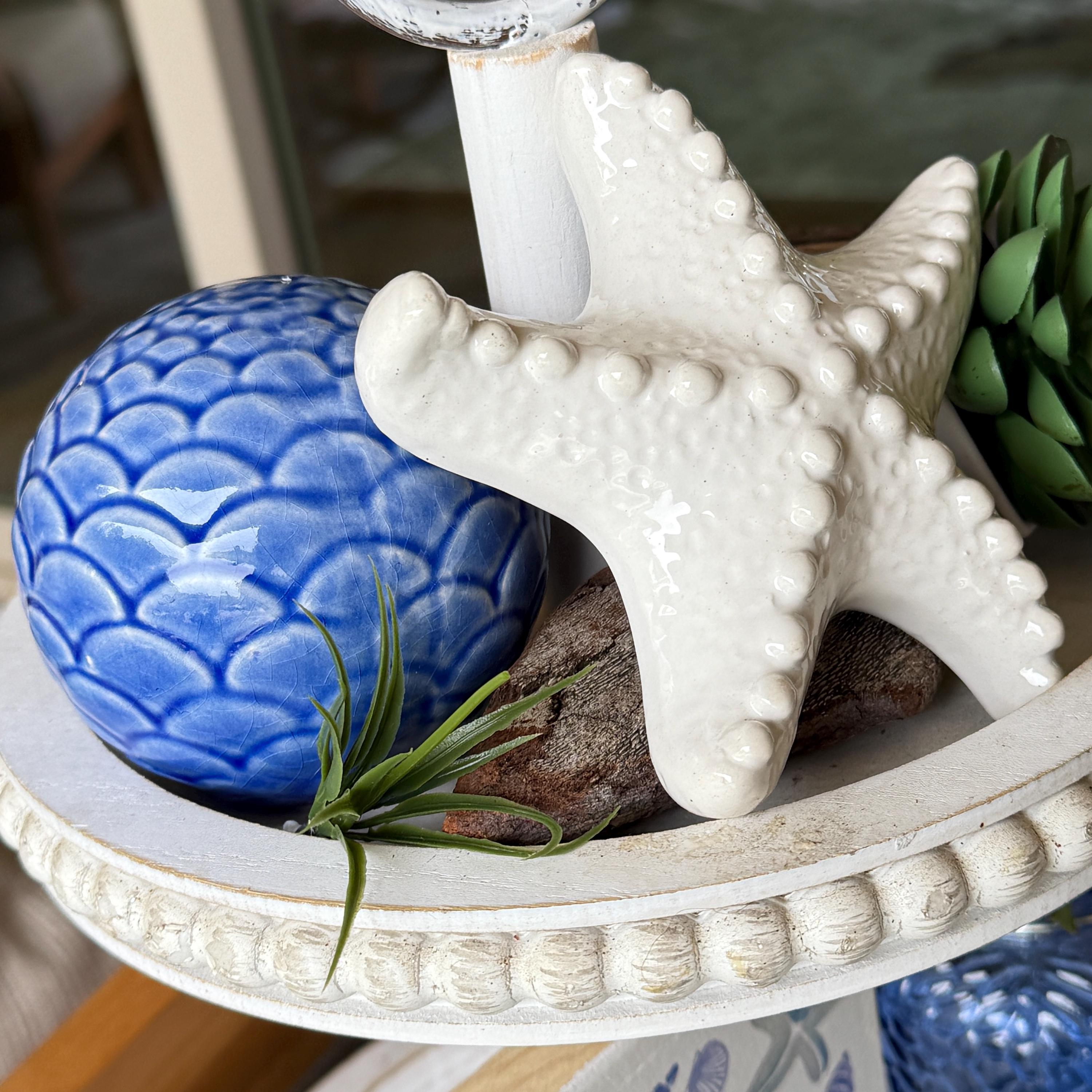 Shell Table Top Decor Coastal Decor Set Starfish Shell Succulent Accents Beach House ...