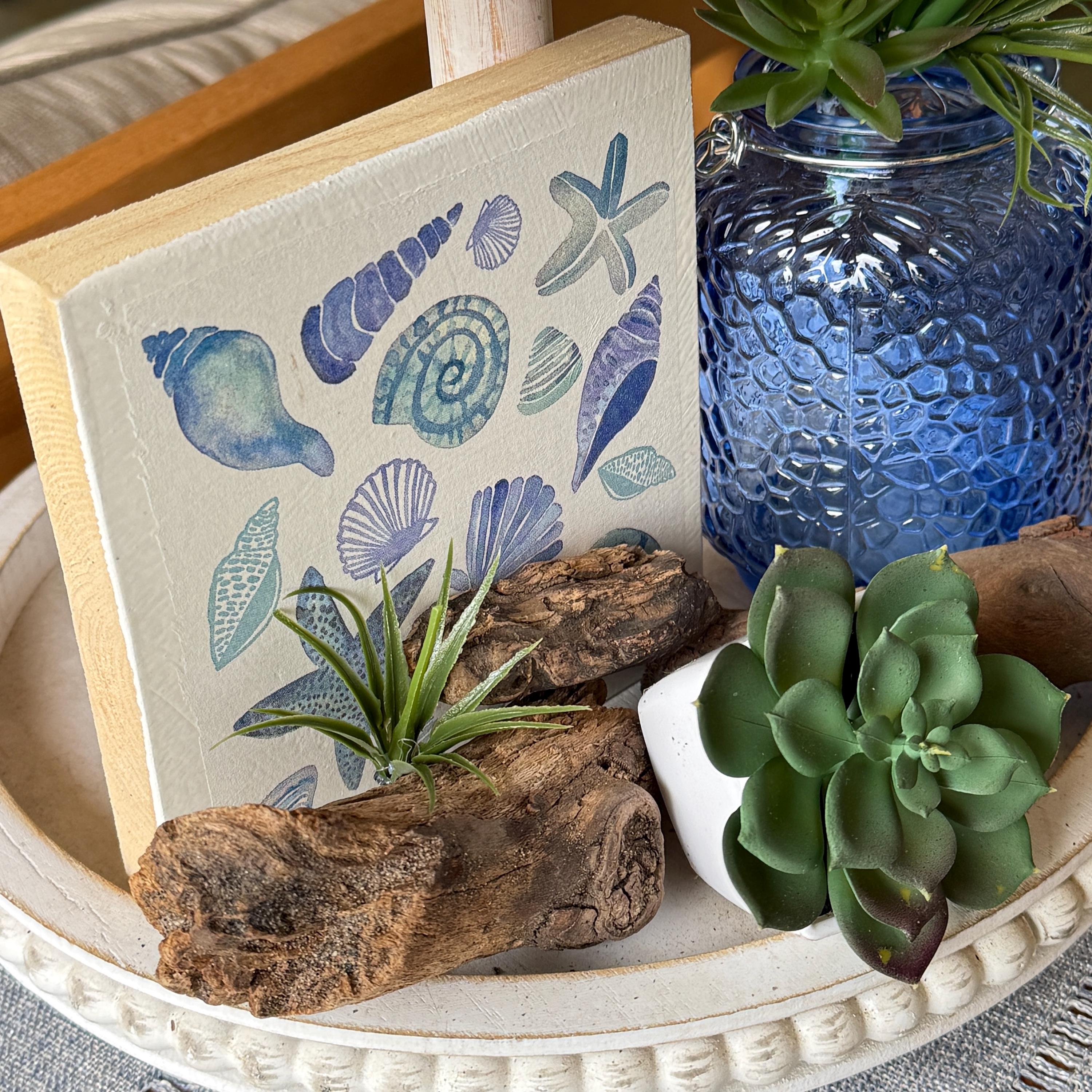 Shell Table Top Decor Coastal Decor Set Starfish Shell Succulent Accents Beach House ...