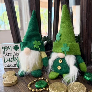 May include: Two St. Patrick's Day gnomes with green hats and shamrock accents. One gnome has a green and yellow outfit, the other has a green outfit with gold buttons. A wooden sign reads "You Are My Lucky Charm."