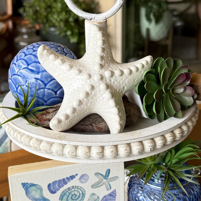 Shell Table Top Decor Coastal Decor Set Starfish Shell Succulent Accents Beach House ...