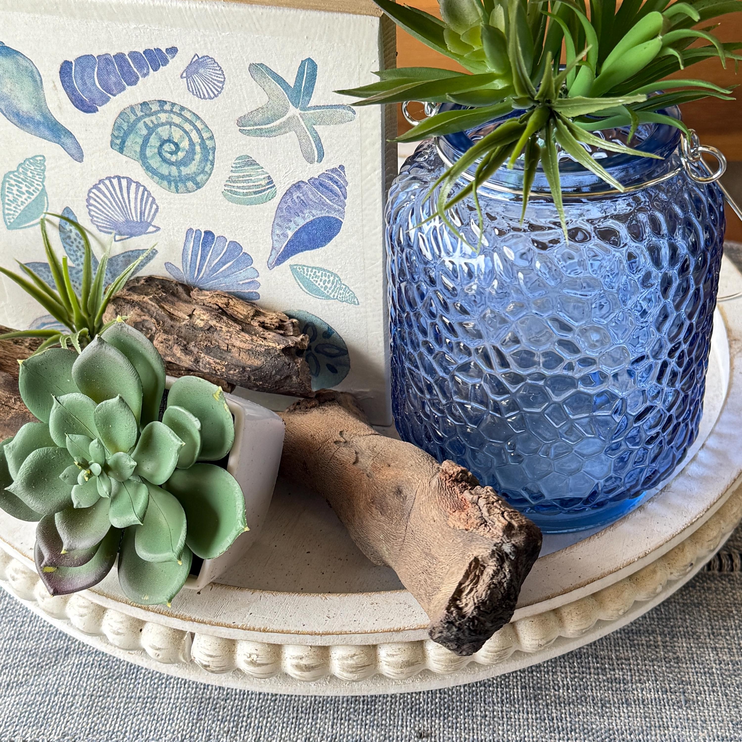 Shell Table Top Decor Coastal Decor Set Starfish Shell Succulent Accents Beach House ...