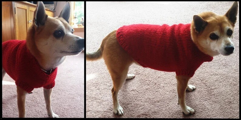 Custom dog clothes discount