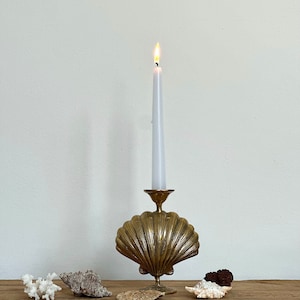 Könnte beinhalten: Ein goldener Kerzenhalter in Muschelform mit einer brennenden weißen Kerze. Der Halter steht auf einer Holzoberfläche mit Muscheln und Korallen.