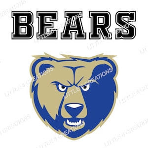Color Mascot Bears - PNG