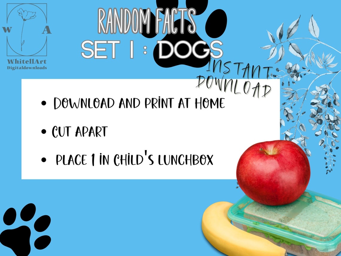 Random Facts Card Printable, Instant Download, Lunchbox Notes, Set 1 ...