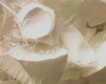 Arrowroot Chunks