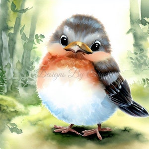 14 Baby Robins Clipart Pngs, Commercial Use Digital Download, Mixed ...