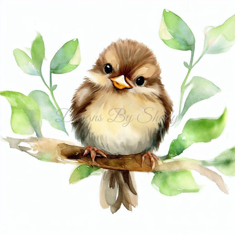 14 Baby Sparrows Clipart PNGs, Commercial use Digital Download, Mixed Media Card Making, Digital Paper Craft, Watercolor clipart bird image 1