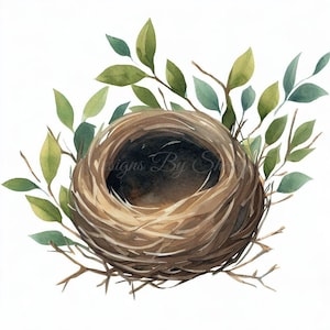 8 Bird Nest Clipart PNGs