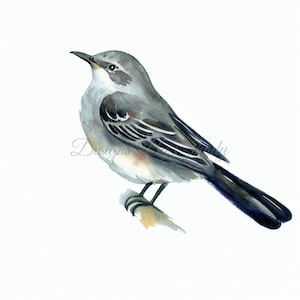 20 Mockingbird Clipart PNGs Adesivi, Uso commerciale Download digitale, Mixed Media Card Making, Digital Paper Craft, Acquerello Clipart