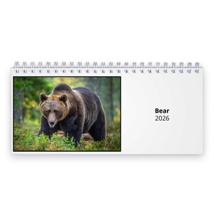 Orso Calendario da tavolo 2026