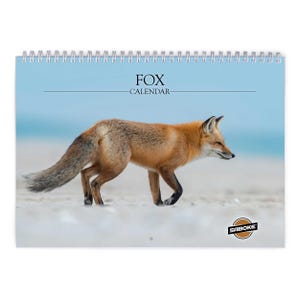Volpe Calendario da parete 2026