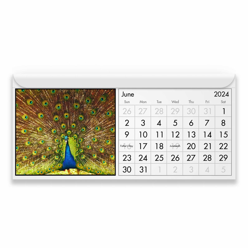 Pavo Real 2024 Calendario Magnético Etsy España