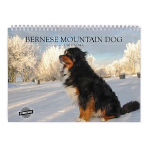Könnte beinhalten: Ein spiralgebundener Wandkalender mit dem Titel Bernese Mountain Dog Calendar, der ein Foto eines schwarz-weiß-braunen Berner Sennenhundes zeigt, der in einer verschneiten Landschaft mit frostbedeckten Bäumen sitzt. Das Saboke-Logo ist in der Ecke gedruckt.
