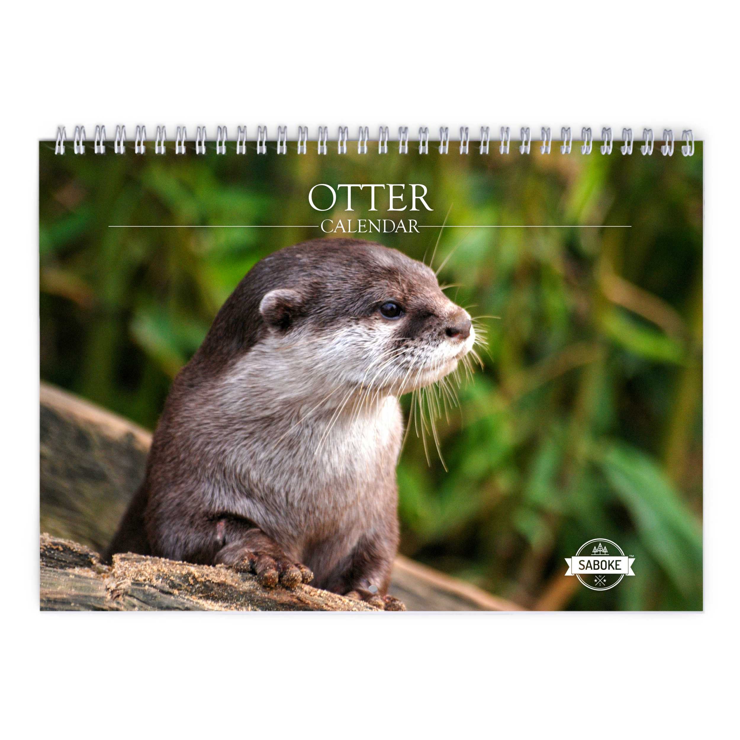 Otter 2024 Wall Calendar IDW24024 Etsy