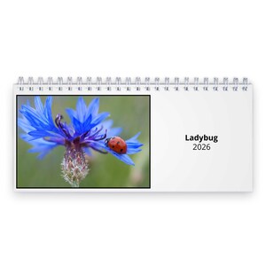 Coccinella Calendario da tavolo 2026