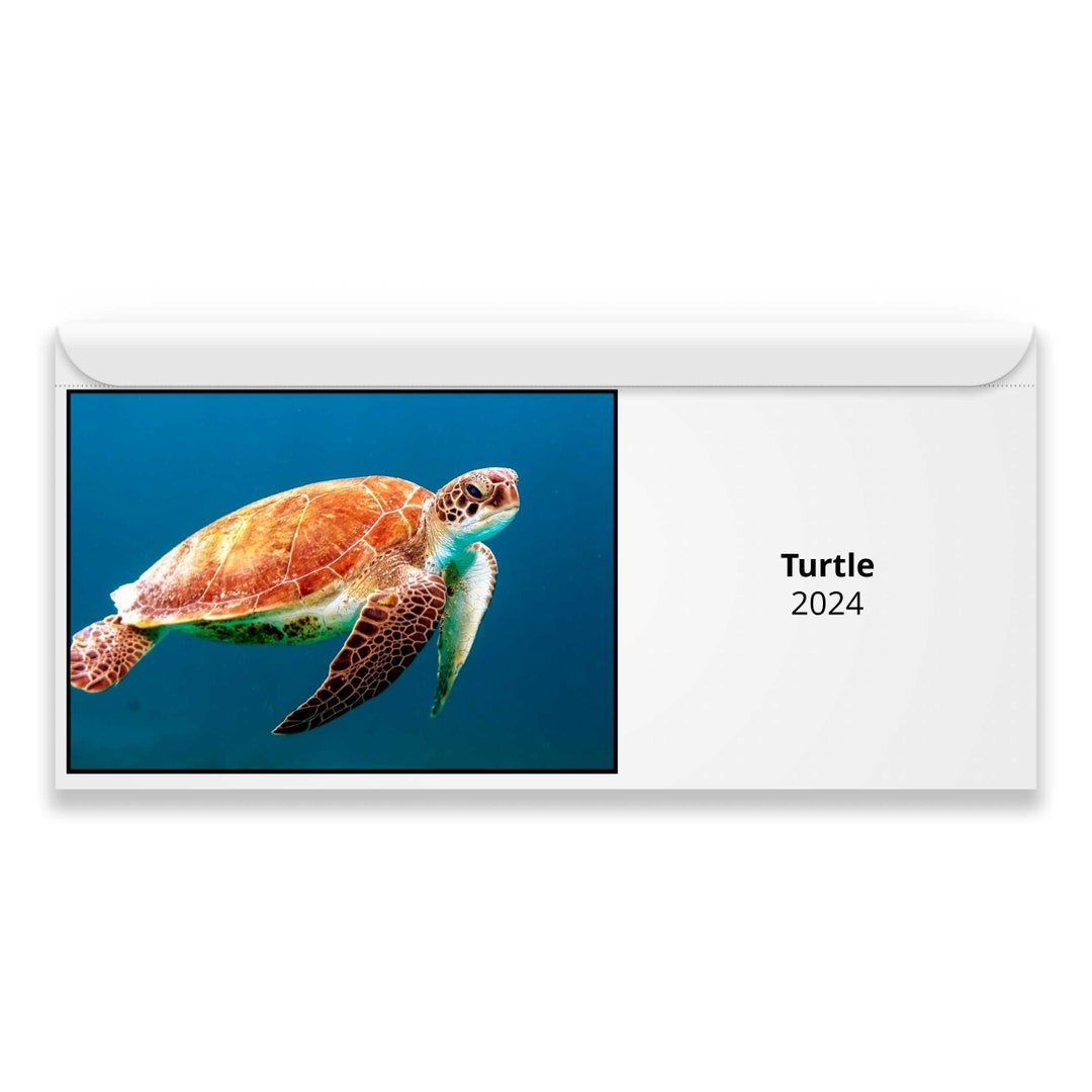 Tortuga 2024 Calendario Magnético Etsy España