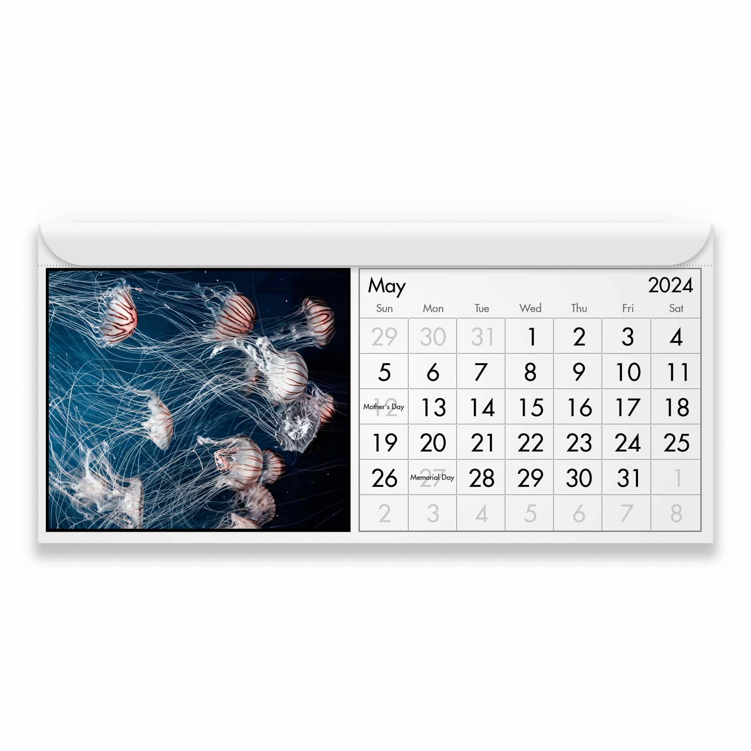 Jellyfish 2024 Calendar IDM23018 Etsy
