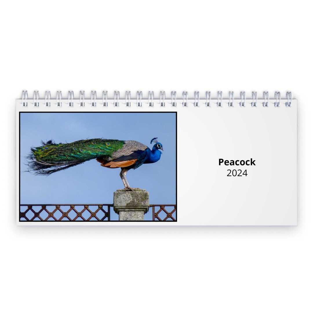 Peacock 2024 Desk Calendar IDD24080 Etsy