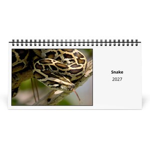 Könnte beinhalten: Ein spiralgebundener Wandkalender mit einem Foto einer Schlange mit braun-beigem Schuppenmuster, die auf einem Ast ruht und ihre Zunge herausstreckt. Der Text auf der weißen Seite lautet Snake 2027 in einer einfachen schwarzen Schriftart.
