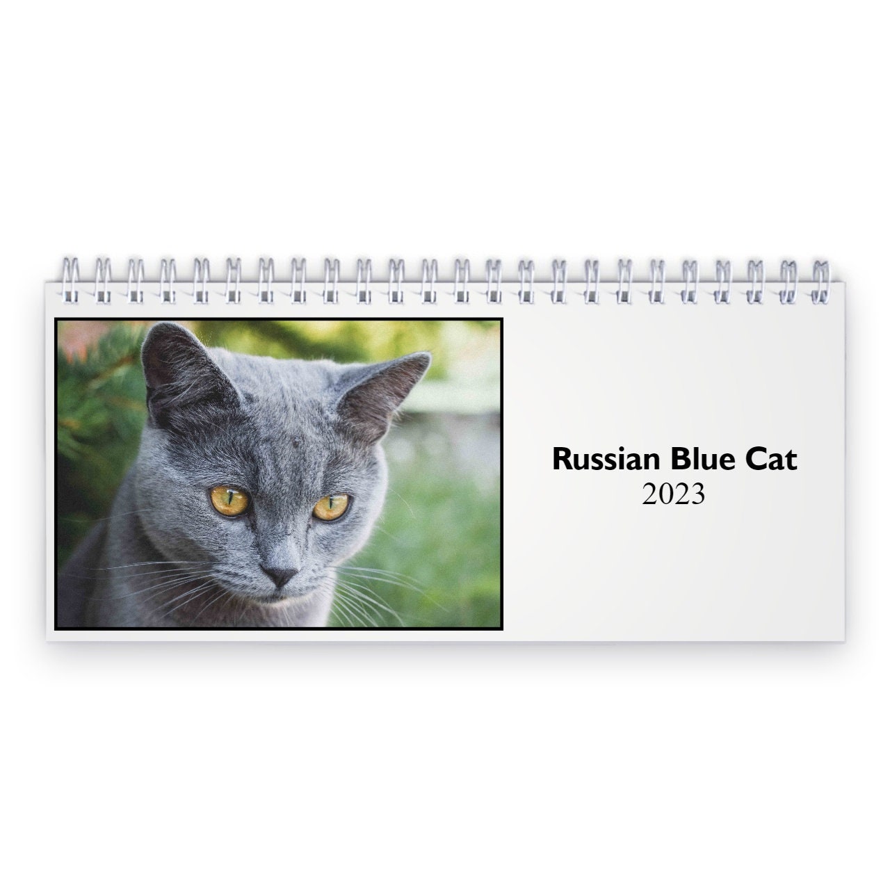 Russian Blue Cat Calendar Etsy