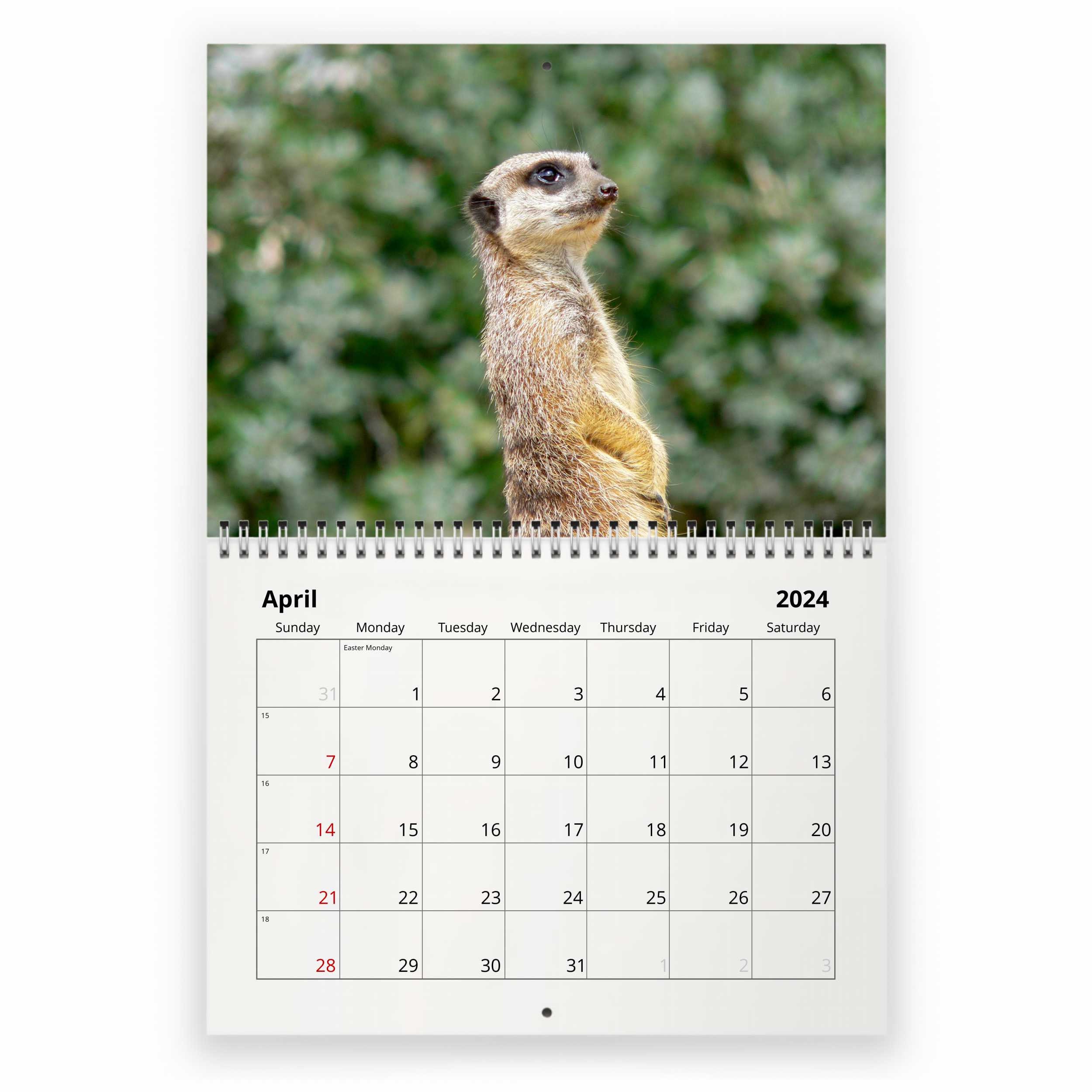 Meerkat 2024 Wall Calendar IDW24027 Etsy Australia