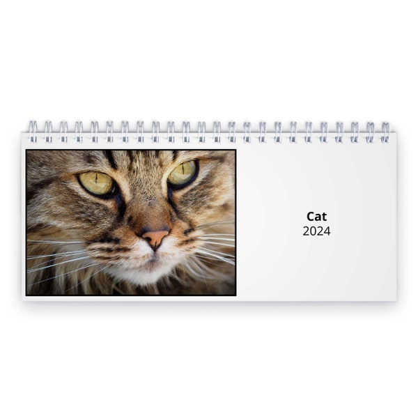2024 Cat Calendar Desk Etsy