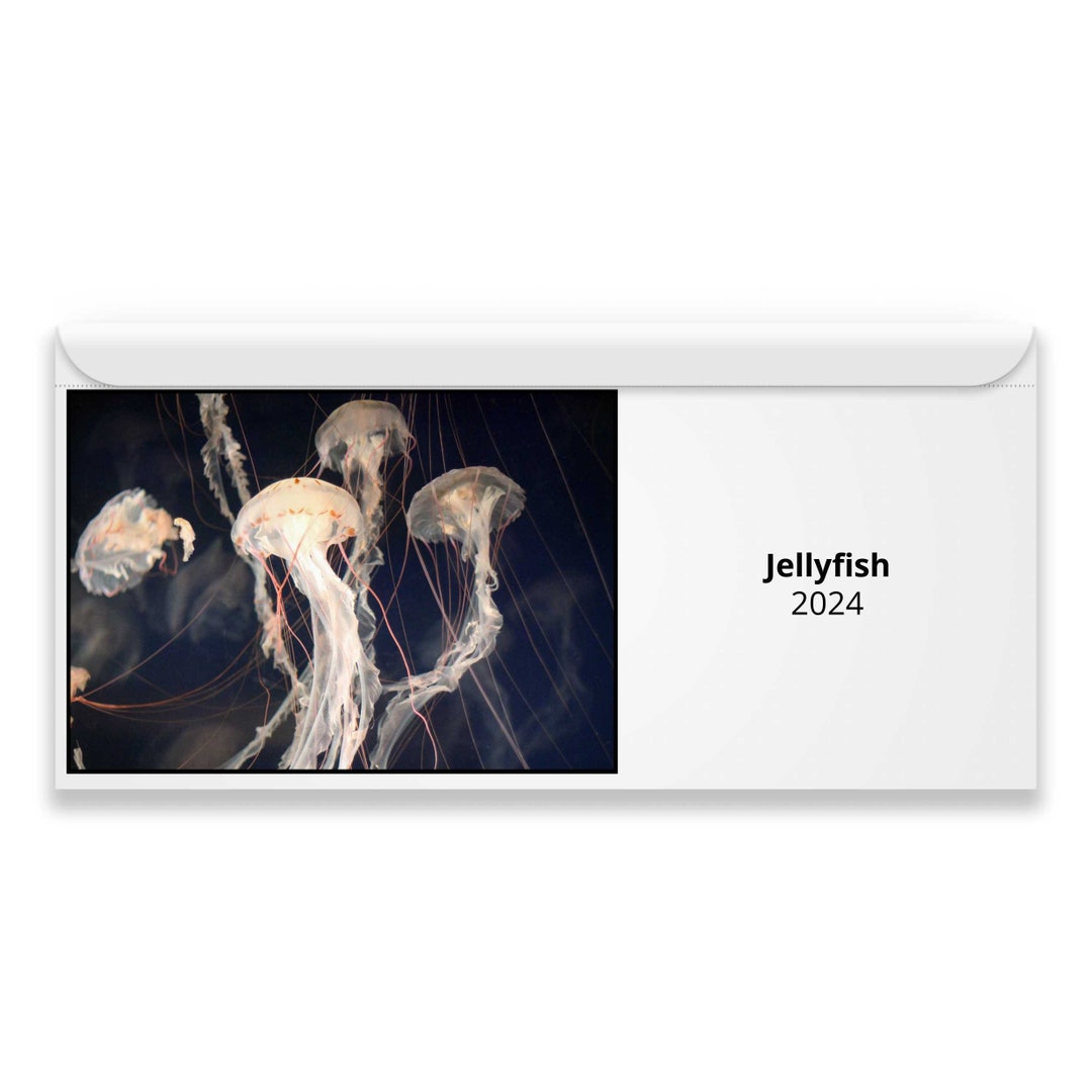 Jellyfish 2024 Calendar IDM23018 Etsy Canada