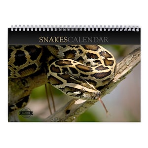 Könnte beinhalten: Ein spiralgebundener Wandkalender mit dem Titel SNAKESCALENDAR, der ein hochauflösendes Foto einer braun-schwarz gemusterten Schlange zeigt, die sich um einen Ast windet und ihre Zunge herausstreckt. Der Kalender hat eine schwarze Kopfzeile.
