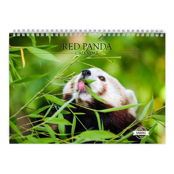 Panda Rojo Calendario mural 2024