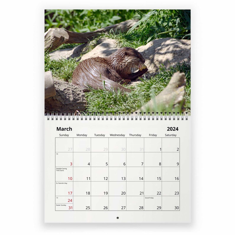 Otter 2024 Wall Calendar IDW24024 Etsy