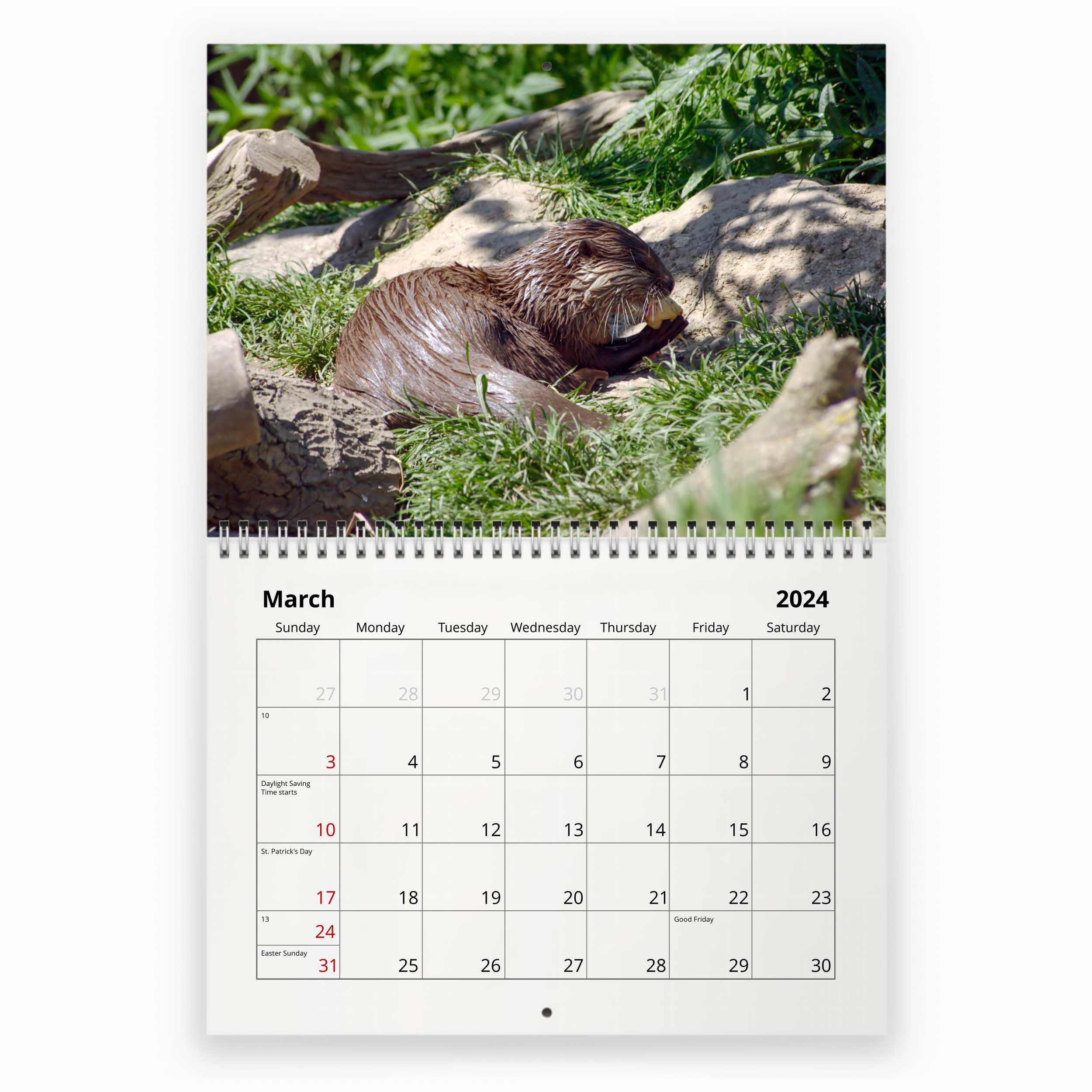 Otter 2024 Wall Calendar IDW24024 Etsy