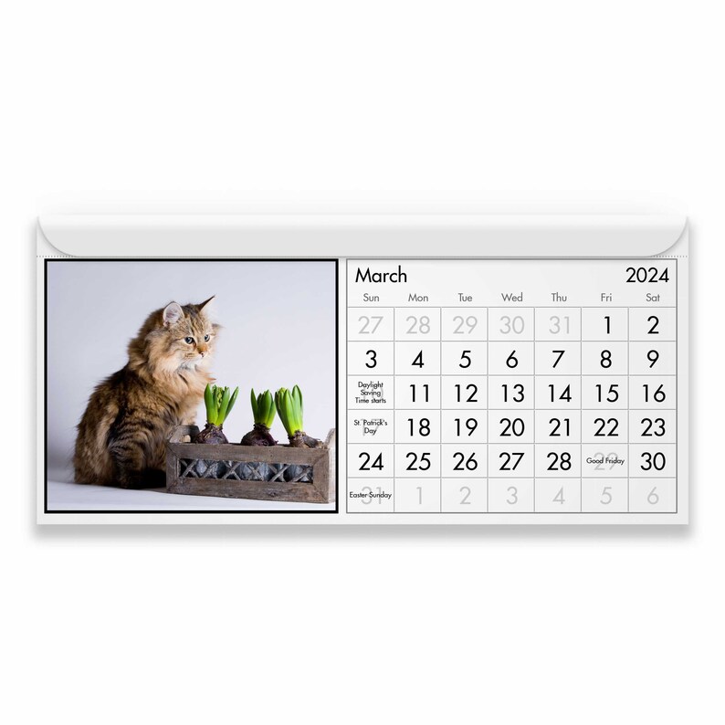 Gato 2024 Calendario Magnético Etsy España