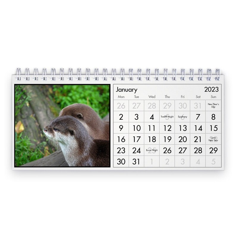 Otter 2023 Desk Calendar ID12969 Etsy