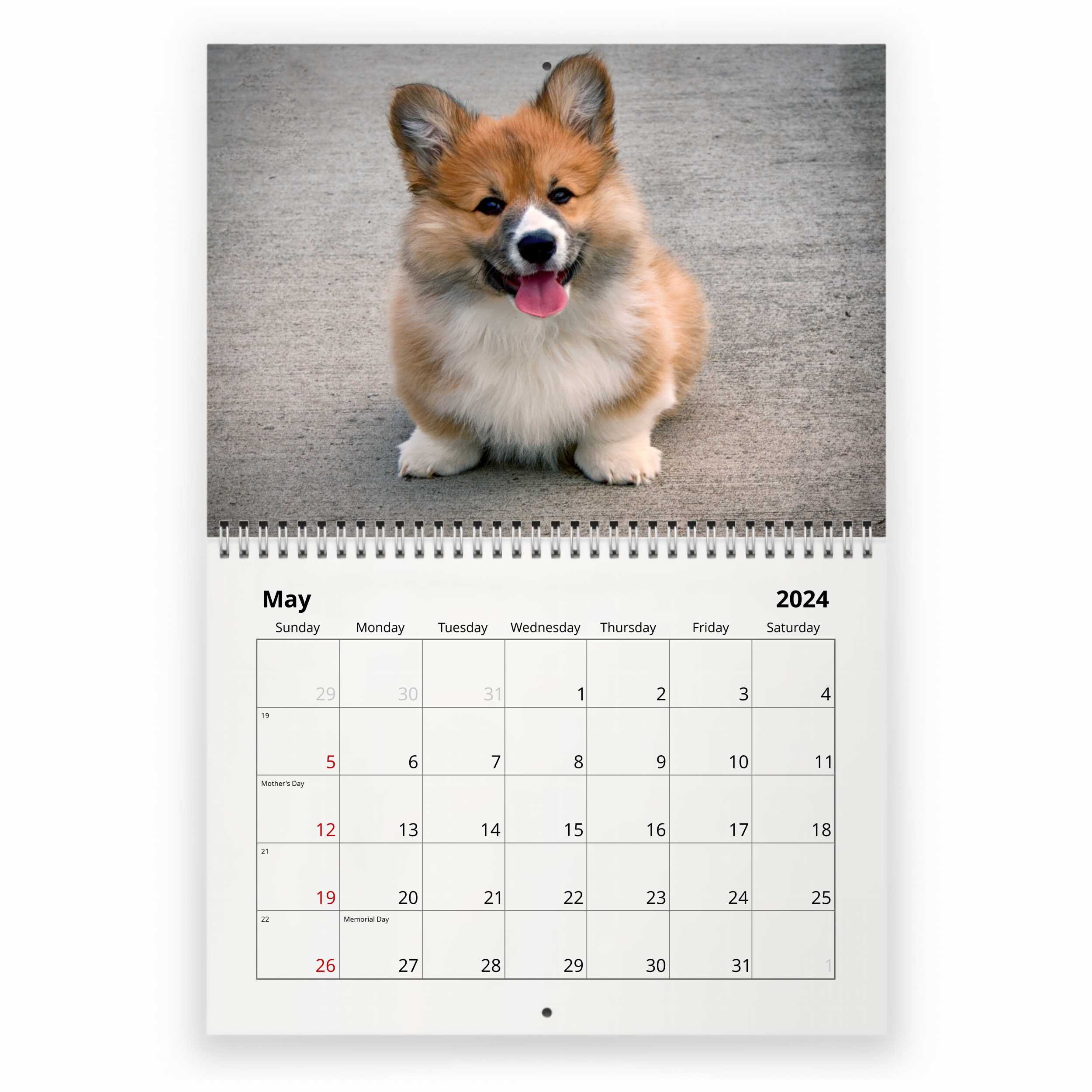 Kalender 2025 Calendar carin nikoletta