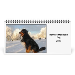 Könnte beinhalten: Ein spiralgebundener Wandkalender mit einem Foto eines Berner Sennenhundes, der in einer verschneiten Landschaft sitzt. Der Text auf der rechten Seite des Kalenders lautet Bernese Mountain Dog 2027 in schwarzer Schrift auf weißem Grund.