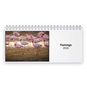 Flamingo 2026 Desk Calendar ID:D26056
