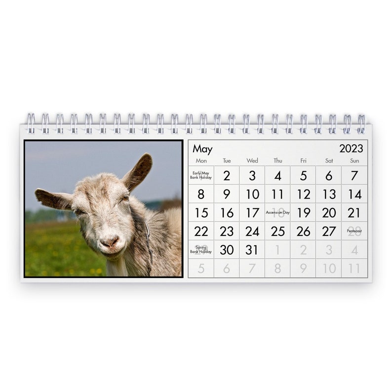 Goat 2023 Desk Calendar ID12895 Etsy