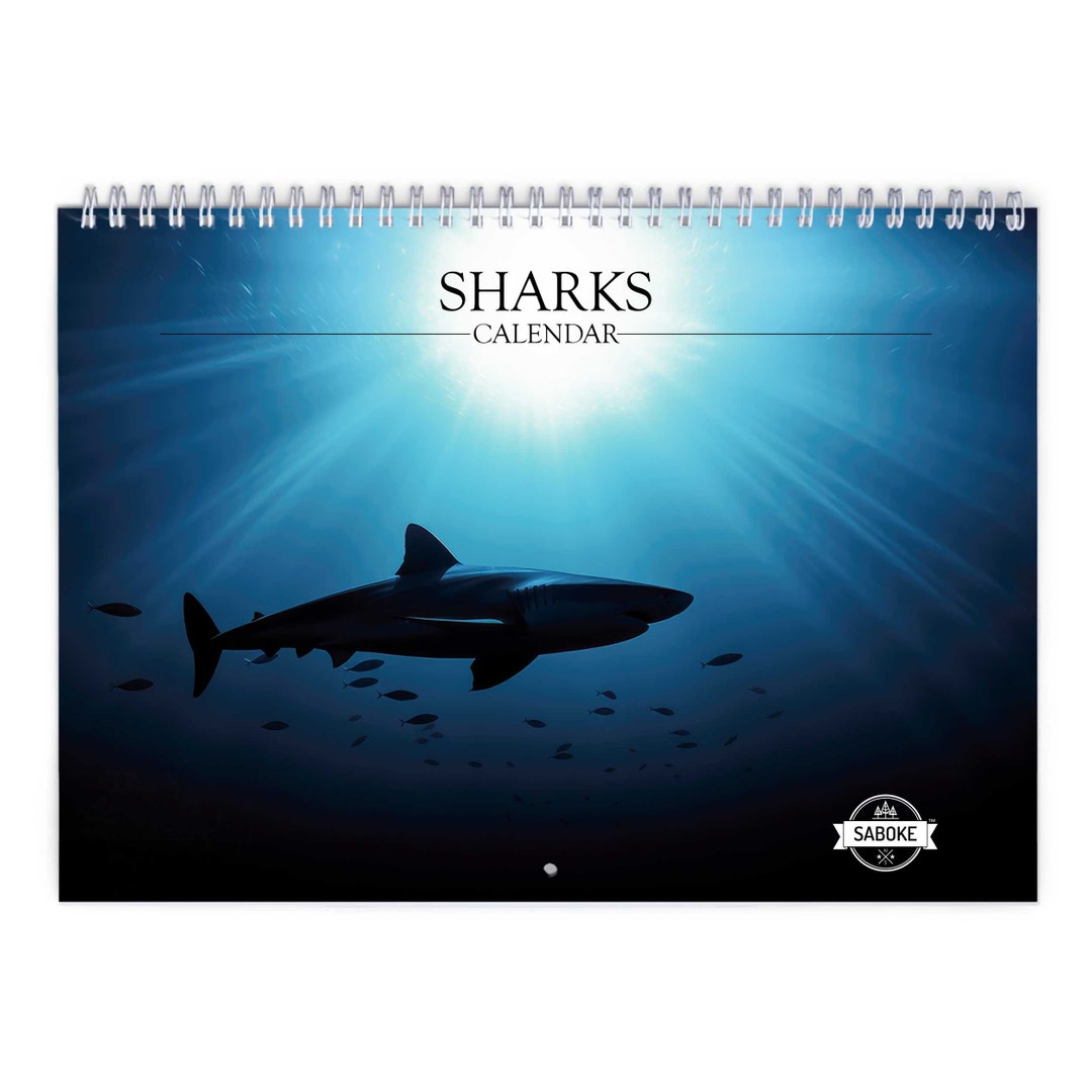 Shark 2025 Wall Calendar IDW24081 Etsy