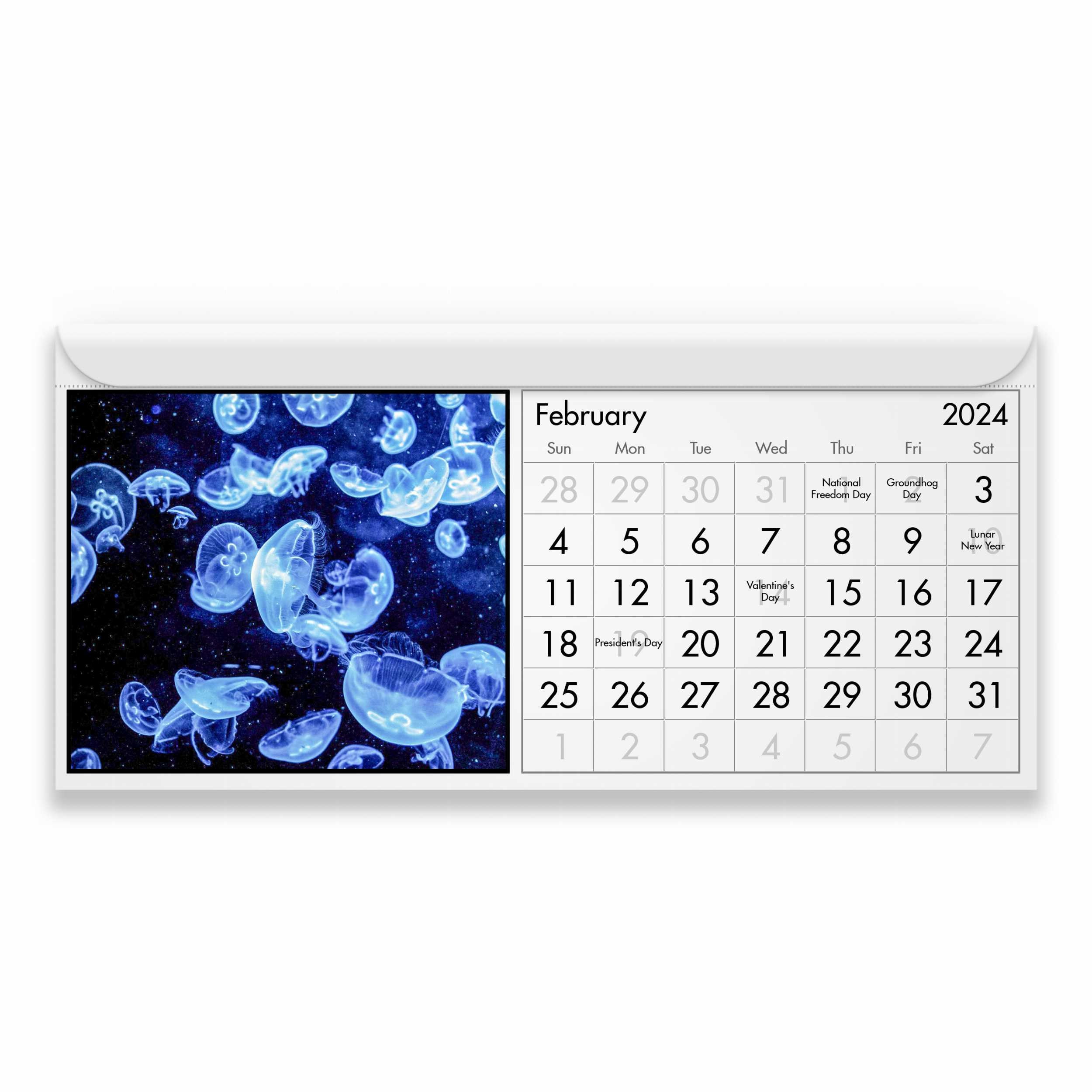 Jellyfish 2024 Calendar IDM23018 Etsy