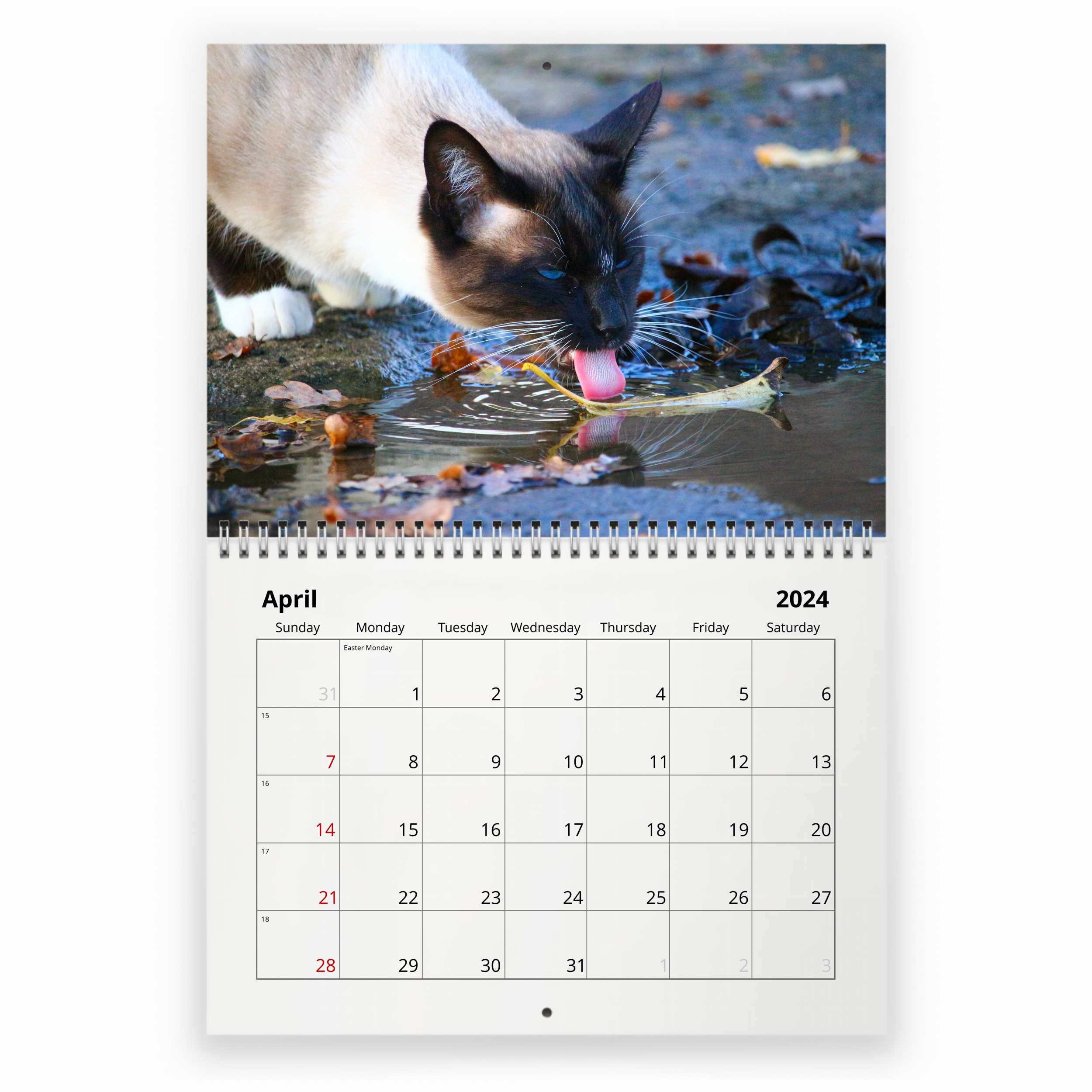 Siamese Cat 2024 Wall Calendar IDW23024 Etsy Canada