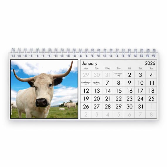 牛 卓上カレンダー2026 - Etsy 日本