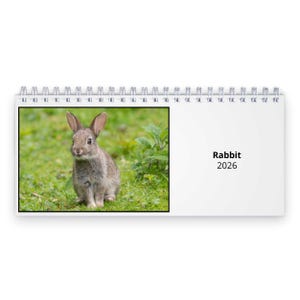 Coniglio Calendario da tavolo 2026