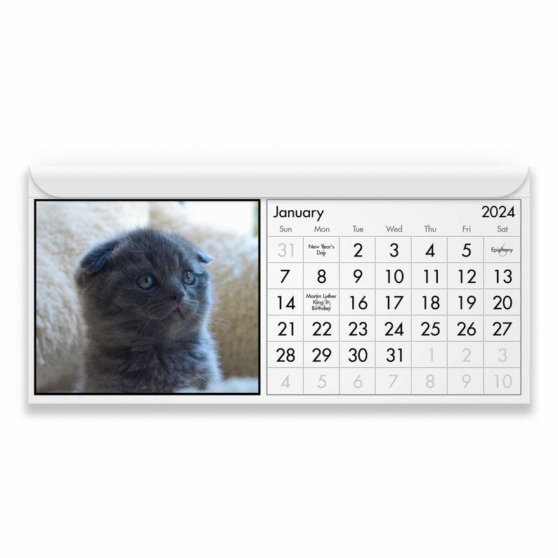 Scottish Fold 2024 Calendar IDM23098 Etsy