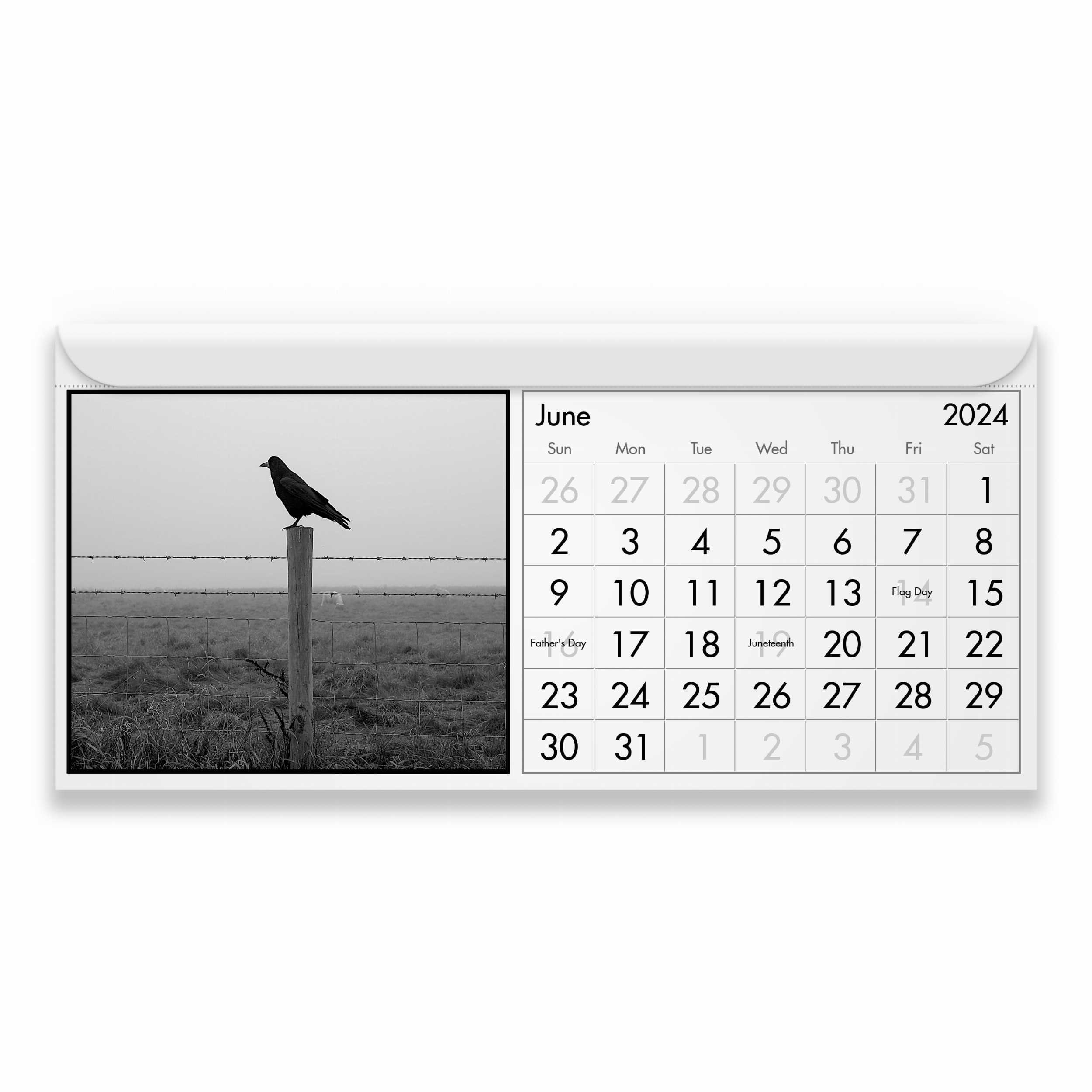 Cuervo 2024 Calendario Magnético Etsy España