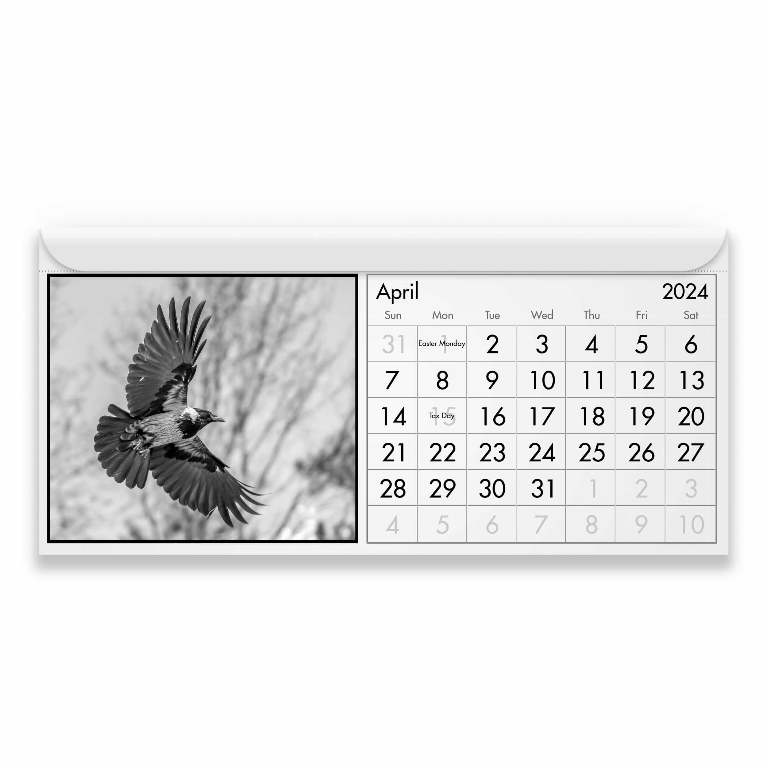 Cuervo 2024 Calendario Magnético Etsy España