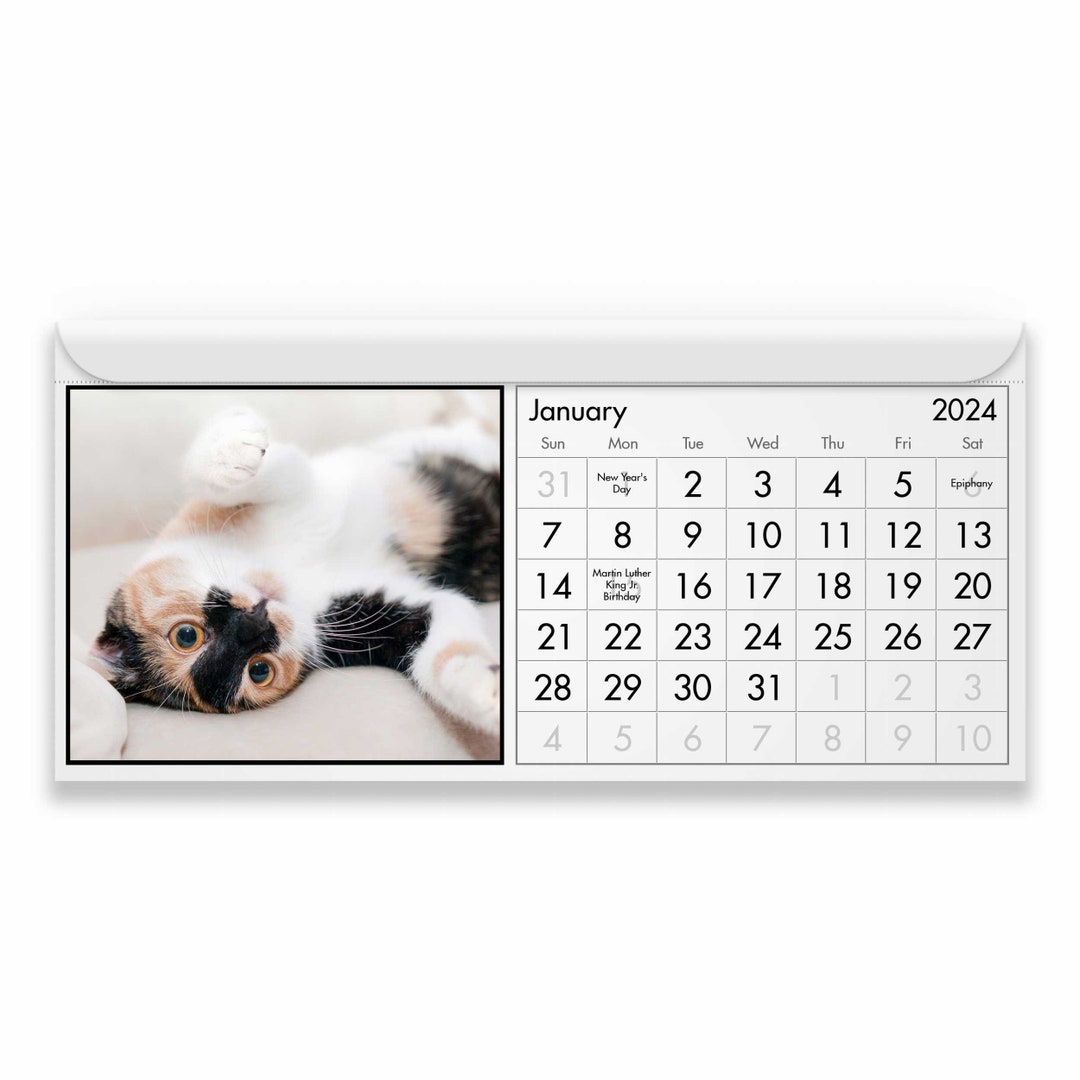 Gato 2025 Calendario Magnético Etsy España