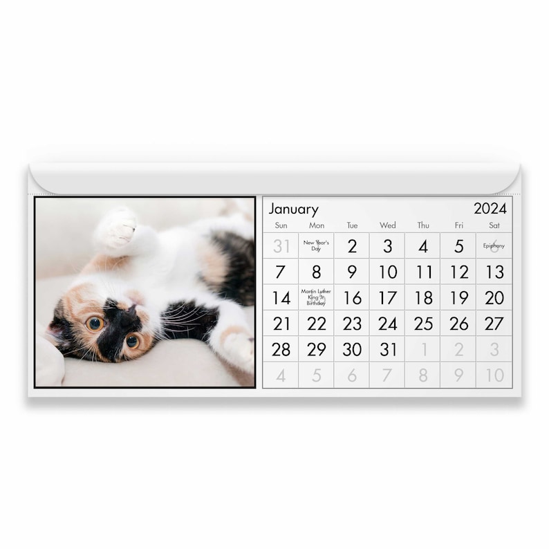 Gato 2024 Calendario Magnético Etsy España