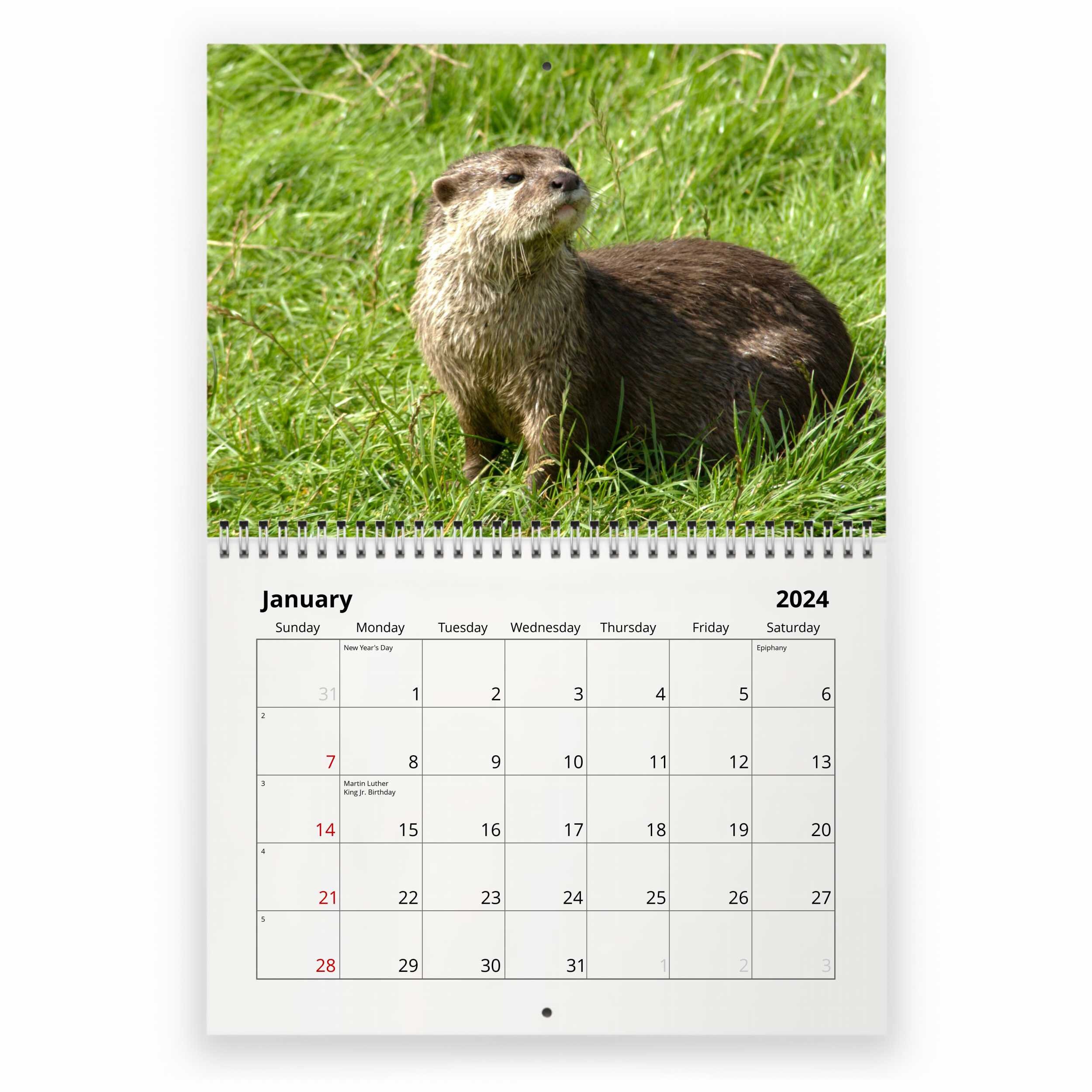 Otter 2024 Wall Calendar IDW24024 Etsy